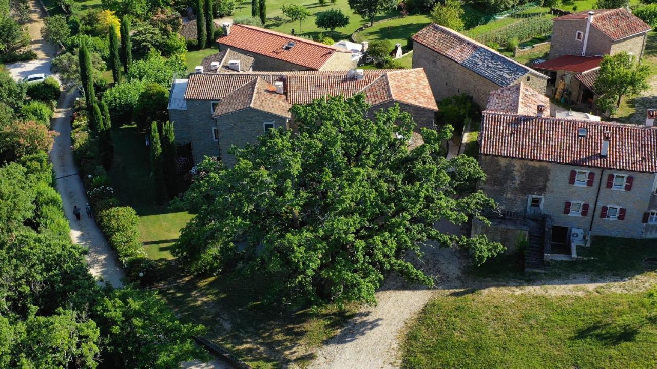 Adq Abbraccio Della Quercia Bed & Breakfast Buje Exterior foto